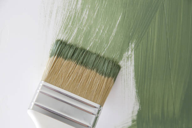 Best Emergency Mold Remediation  in Benson, AZ